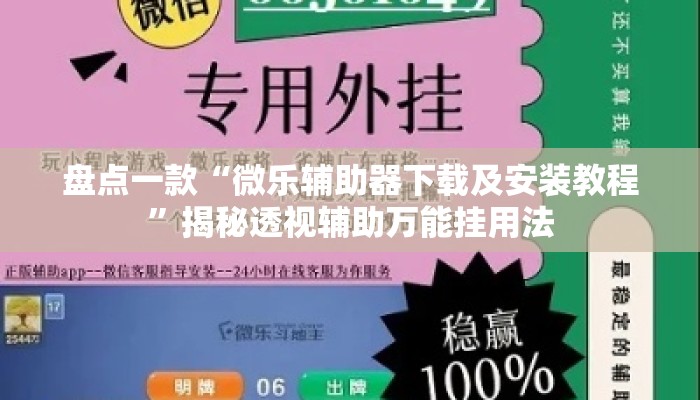 盘点一款“微乐辅助器下载及安装教程”揭秘透视辅助万能挂用法