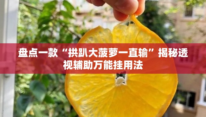 盘点一款“拱趴大菠萝一直输”揭秘透视辅助万能挂用法