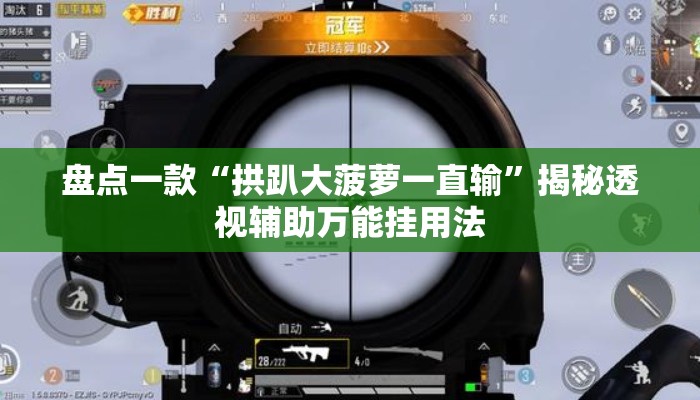 盘点一款“拱趴大菠萝一直输”揭秘透视辅助万能挂用法