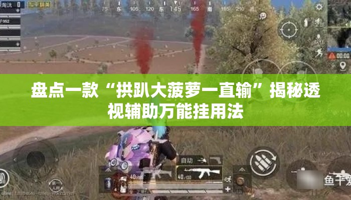 盘点一款“拱趴大菠萝一直输	”揭秘透视辅助万能挂用法