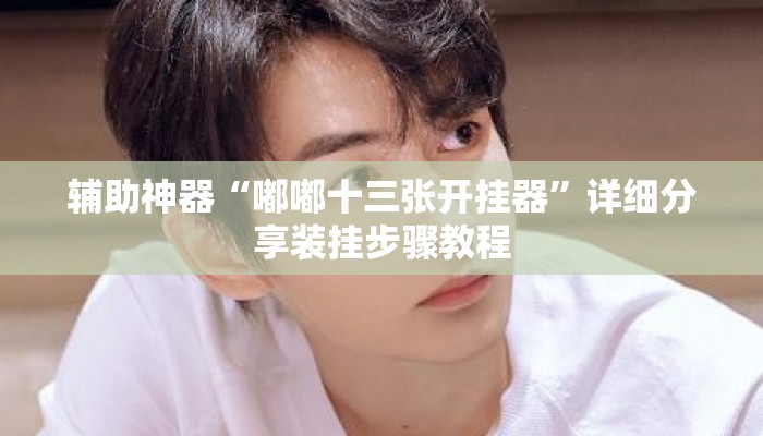 辅助神器“嘟嘟十三张开挂器”详细分享装挂步骤教程