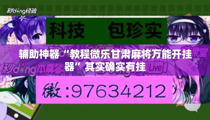 辅助神器“教程微乐甘肃麻将万能开挂器	”其实确实有挂
