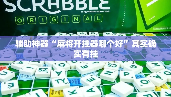 辅助神器“麻将开挂器哪个好”其实确实有挂