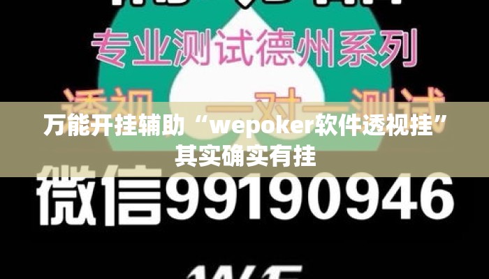 万能开挂辅助“wepoker软件透视挂	”其实确实有挂