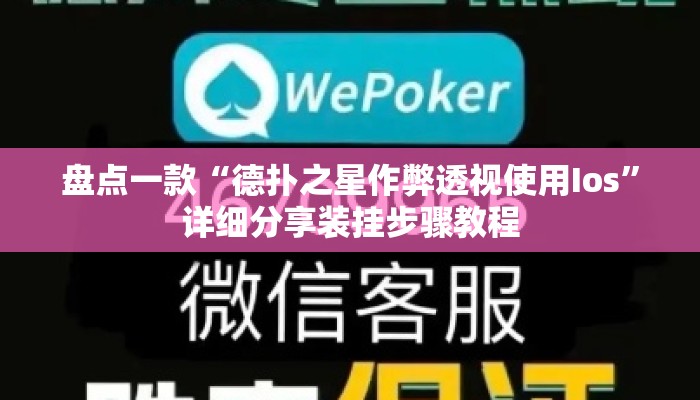 盘点一款“德扑之星作弊透视使用Ios”详细分享装挂步骤教程