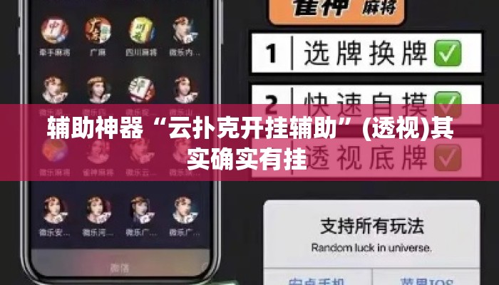 辅助神器“云扑克开挂辅助”(透视)其实确实有挂 