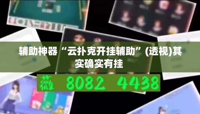 辅助神器“云扑克开挂辅助”(透视)其实确实有挂 