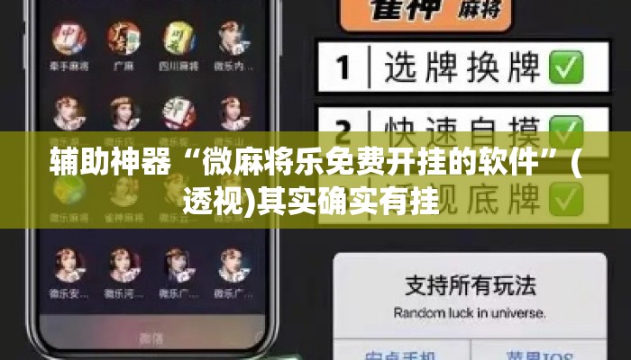 辅助神器“微麻将乐免费开挂的软件”(透视)其实确实有挂 