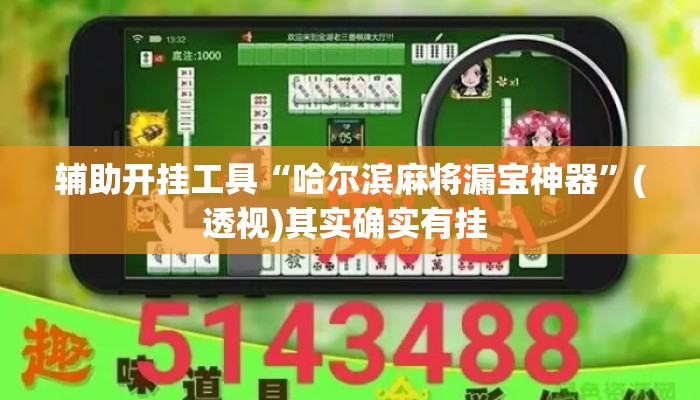 辅助开挂工具“哈尔滨麻将漏宝神器	”(透视)其实确实有挂 