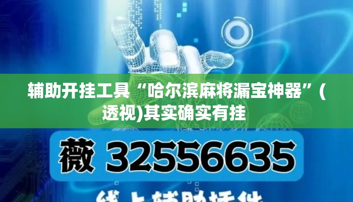 辅助开挂工具“哈尔滨麻将漏宝神器	”(透视)其实确实有挂 