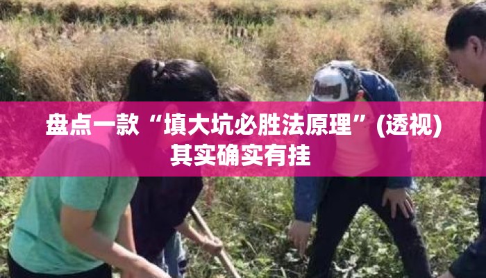 盘点一款“填大坑必胜法原理	”(透视)其实确实有挂 