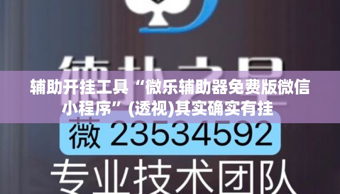 辅助开挂工具“微乐辅助器免费版微信小程序	”(透视)其实确实有挂 