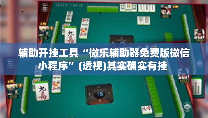 辅助开挂工具“微乐辅助器免费版微信小程序”(透视)其实确实有挂 