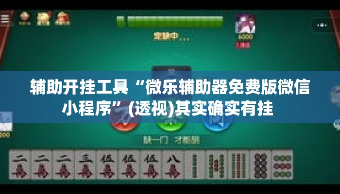 辅助开挂工具“微乐辅助器免费版微信小程序”(透视)其实确实有挂 