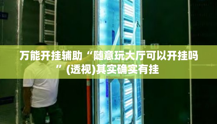 万能开挂辅助“随意玩大厅可以开挂吗”(透视)其实确实有挂 