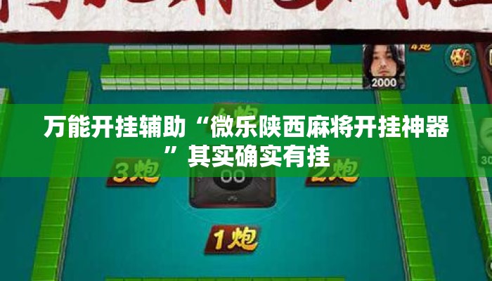 万能开挂辅助“微乐陕西麻将开挂神器”其实确实有挂