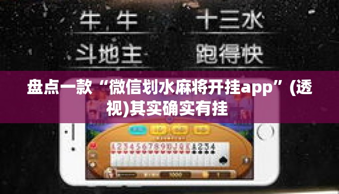 盘点一款“微信划水麻将开挂app	”(透视)其实确实有挂 