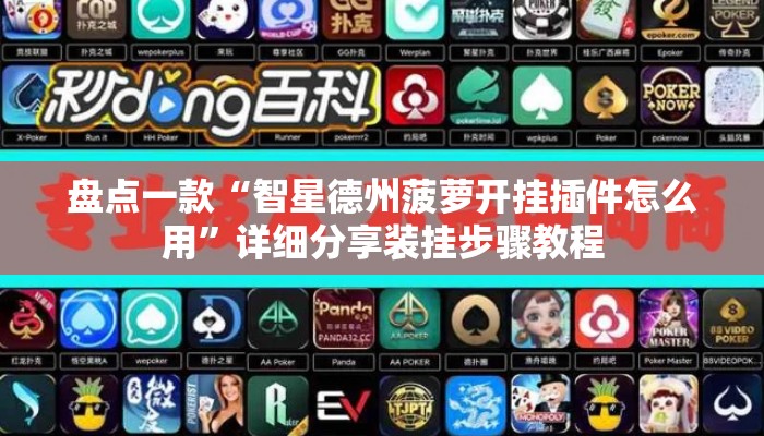 盘点一款“智星德州菠萝开挂插件怎么用”详细分享装挂步骤教程