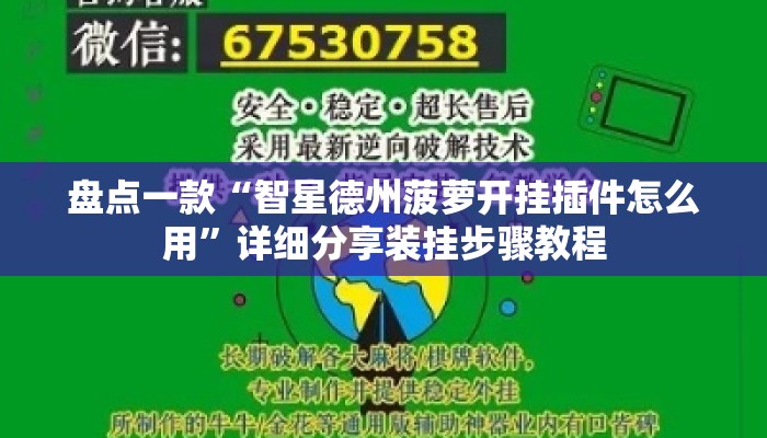 盘点一款“智星德州菠萝开挂插件怎么用”详细分享装挂步骤教程