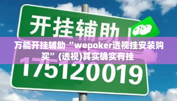 万能开挂辅助“wepoker透视挂安装购买	”(透视)其实确实有挂 