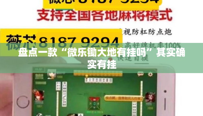 盘点一款“微乐锄大地有挂吗”其实确实有挂