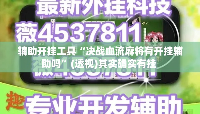 辅助开挂工具“决战血流麻将有开挂辅助吗	”(透视)其实确实有挂 