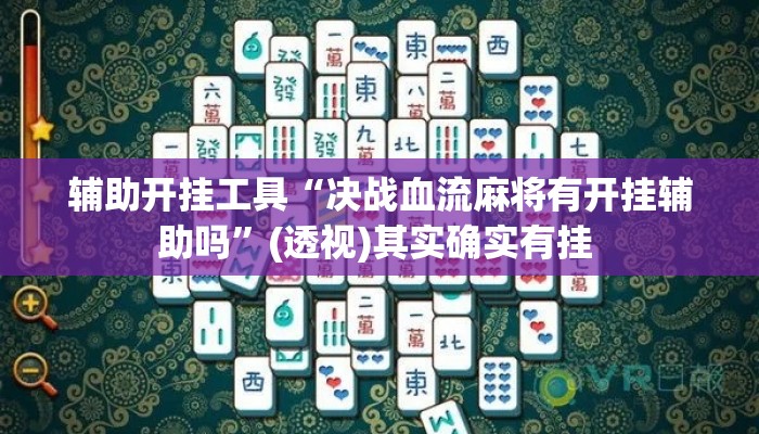 辅助开挂工具“决战血流麻将有开挂辅助吗”(透视)其实确实有挂 