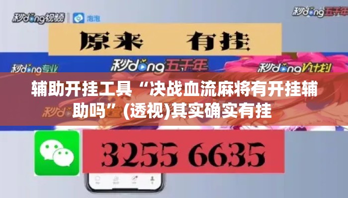 辅助开挂工具“决战血流麻将有开挂辅助吗”(透视)其实确实有挂 