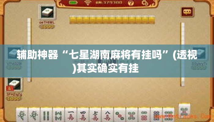 辅助神器“七星湖南麻将有挂吗”(透视)其实确实有挂 