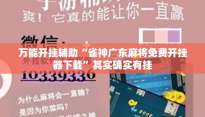 万能开挂辅助“雀神广东麻将免费开挂器下载	”其实确实有挂