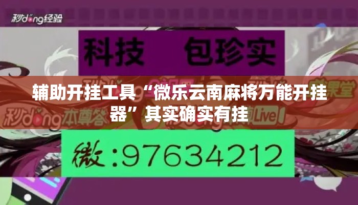 辅助开挂工具“微乐云南麻将万能开挂器”其实确实有挂