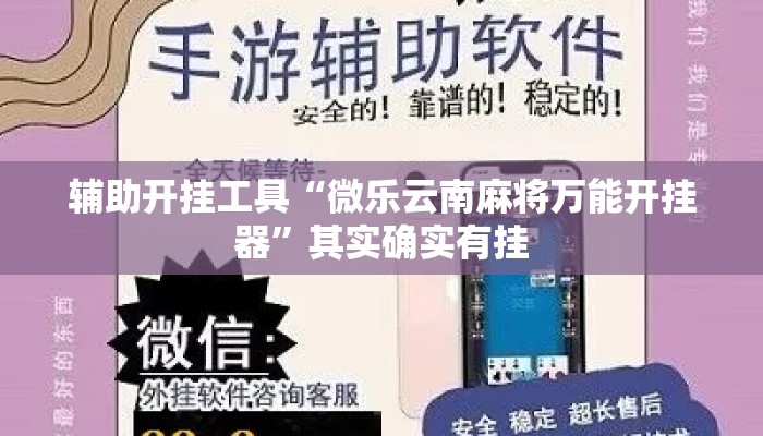 辅助开挂工具“微乐云南麻将万能开挂器”其实确实有挂