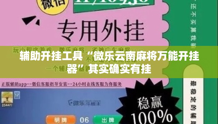 辅助开挂工具“微乐云南麻将万能开挂器”其实确实有挂
