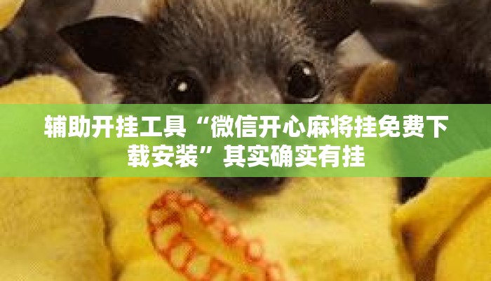 辅助开挂工具“微信开心麻将挂免费下载安装”其实确实有挂