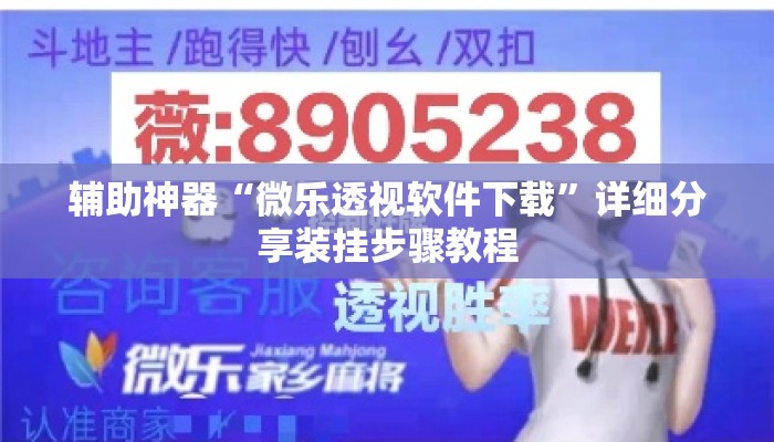 辅助神器“微乐透视软件下载	”详细分享装挂步骤教程