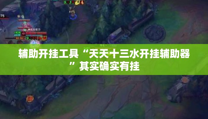 辅助开挂工具“天天十三水开挂辅助器	”其实确实有挂