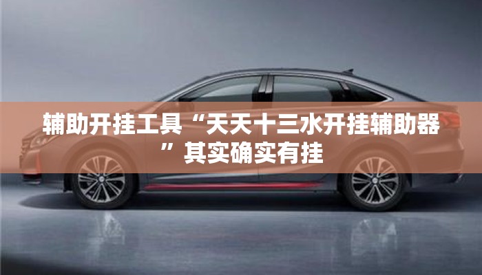 辅助开挂工具“天天十三水开挂辅助器”其实确实有挂
