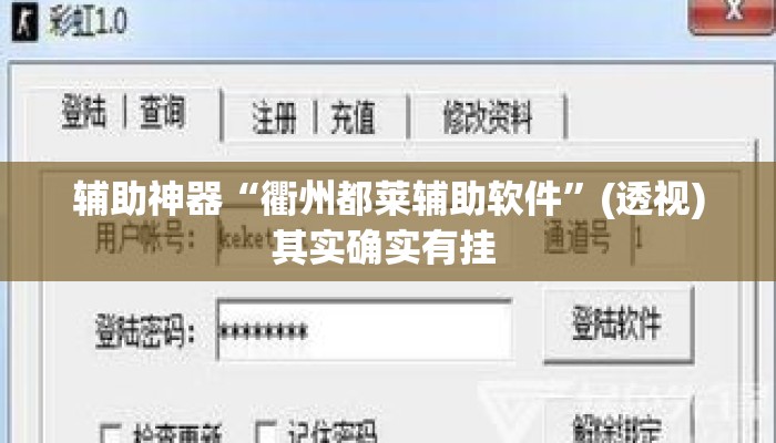 辅助神器“衢州都莱辅助软件”(透视)其实确实有挂 