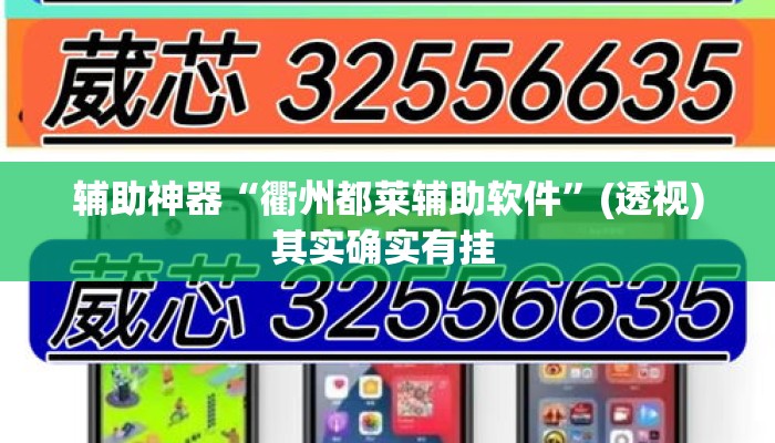 辅助神器“衢州都莱辅助软件”(透视)其实确实有挂 