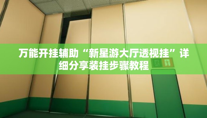 万能开挂辅助“新星游大厅透视挂”详细分享装挂步骤教程