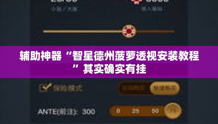 辅助神器“智星德州菠萝透视安装教程”其实确实有挂