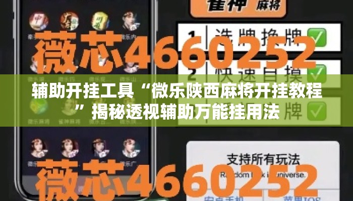 辅助开挂工具“微乐陕西麻将开挂教程”揭秘透视辅助万能挂用法
