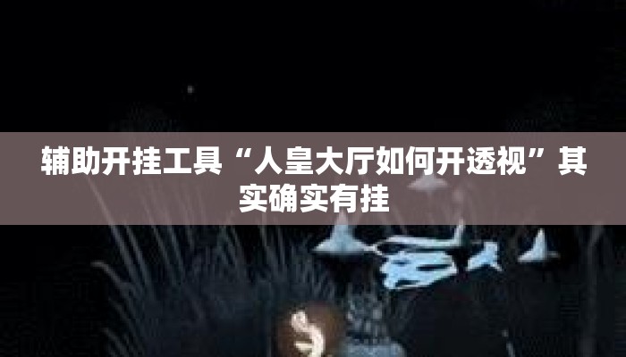 辅助开挂工具“人皇大厅如何开透视”其实确实有挂
