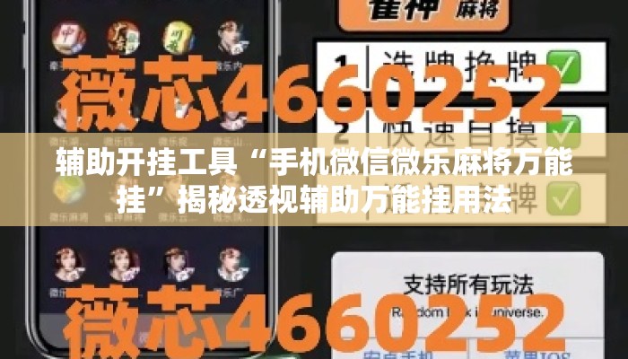辅助开挂工具“手机微信微乐麻将万能挂”揭秘透视辅助万能挂用法