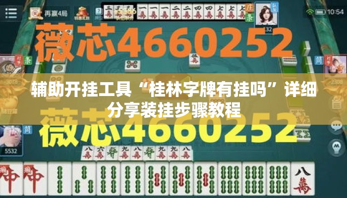 辅助开挂工具“桂林字牌有挂吗”详细分享装挂步骤教程