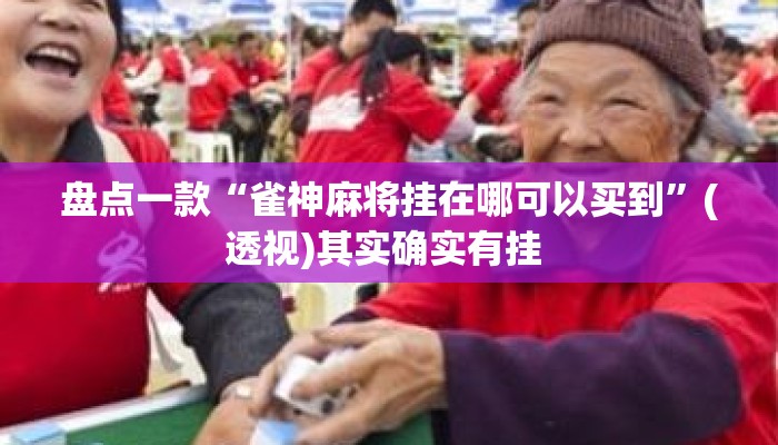 盘点一款“雀神麻将挂在哪可以买到”(透视)其实确实有挂 