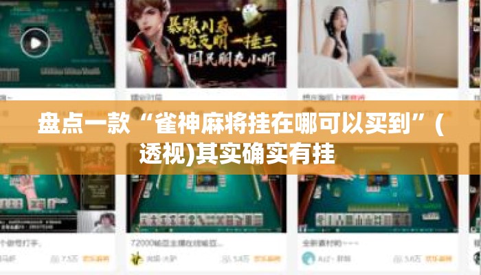 盘点一款“雀神麻将挂在哪可以买到”(透视)其实确实有挂 