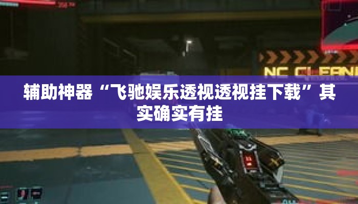 辅助神器“飞驰娱乐透视透视挂下载	”其实确实有挂