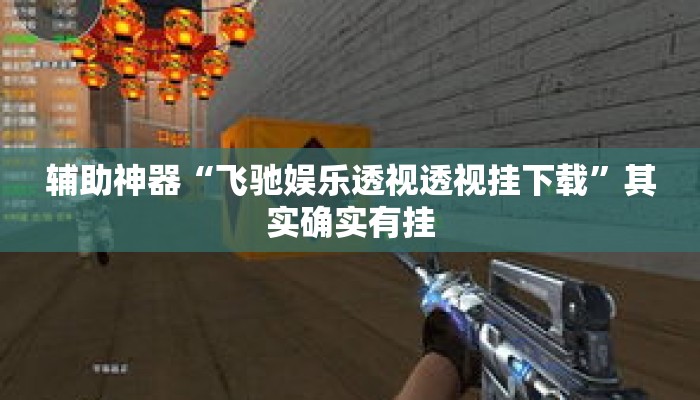 辅助神器“飞驰娱乐透视透视挂下载”其实确实有挂
