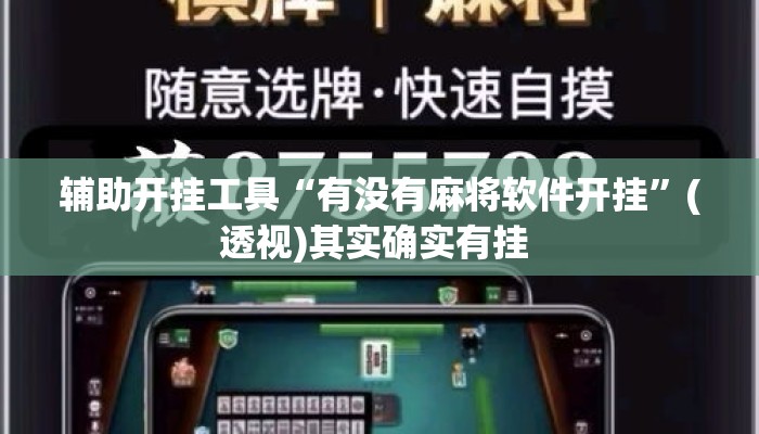 辅助开挂工具“有没有麻将软件开挂	”(透视)其实确实有挂 